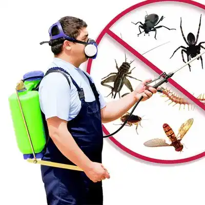 pest control Mount Arlington
